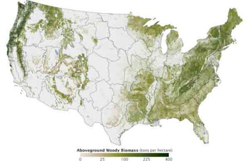 Forest Systems Map National Forest Map and GIS Data - Geography Realm