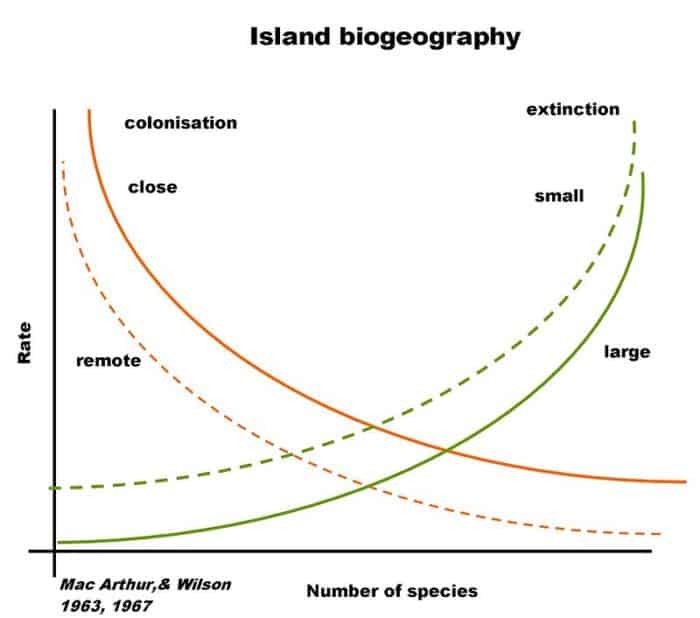Theory of Island Biogeography illustrated in a graph. Graph: Wikipedia.