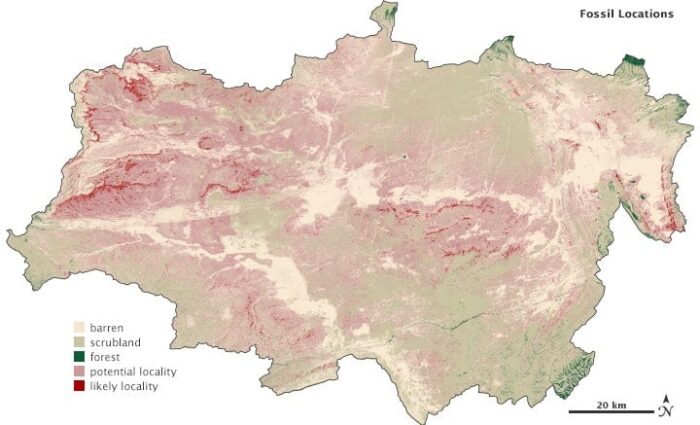 Using Landsat images analyzed by a neural network, Anemone and his colleagues created a land cover map of the Great Divide Basin. Potential fossil locations are light red, and likely locations are dark red. (Map adapted from Anemone, et al., 2011.)