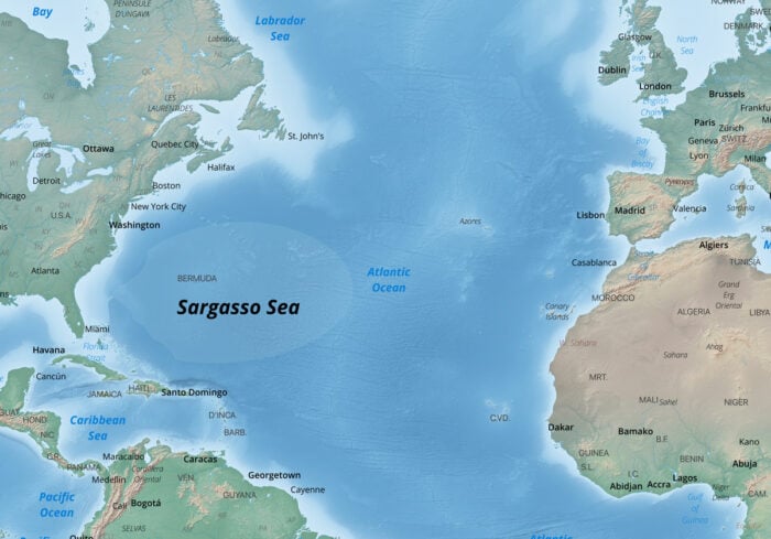 Location map showing where the Sargasso Sea is located. The base map is a tinted topography map showing the surrounding continents and a blue ocean.