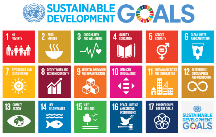 Sustainable development goals of the United Nations. https://www.un.org/sustainabledevelopment/blog/2015/12/sustainable-development-goals-kick-off-with-start-of-new-year/