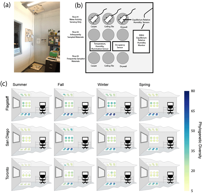 (a) Configuration of sampling site in Flagstaff office 1. This configuration was similar to those set up in all offices. Signs on the wall adjacent to wall sampling plate describe the project, as request that the materials not be touched. (b) Diagram of single sampling plate illustrating nine sampling swatches (circles) of three different materials, one row for tracking equilibrium relative humidity of the materials (Row #1), one row for infrequent sampling (Row #2), and one row for frequent sampling (Row #3). (c) Samples were collected from rows 2 and 3 of all sampling plates from three offices in each of our three cities in four intensive sampling periods over the course of one year. Coloring of sampling swatches in this figure illustrates the change in bacterial Phylogenetic Diversity over the year.