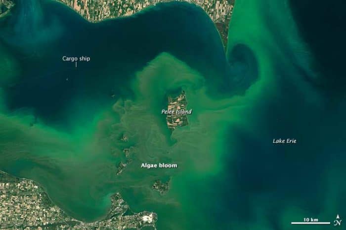 Algae Boom in Lake Erie in 2015. Source: NASA.