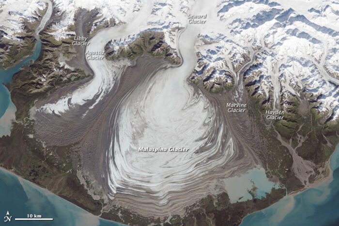 Satellite image of a piedmont glacier in Alaska with the different lobes labeled.