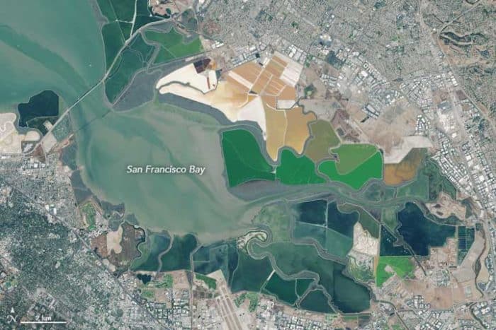 Satellite imagery showing multiple colored salt ponds in the SF Bay.