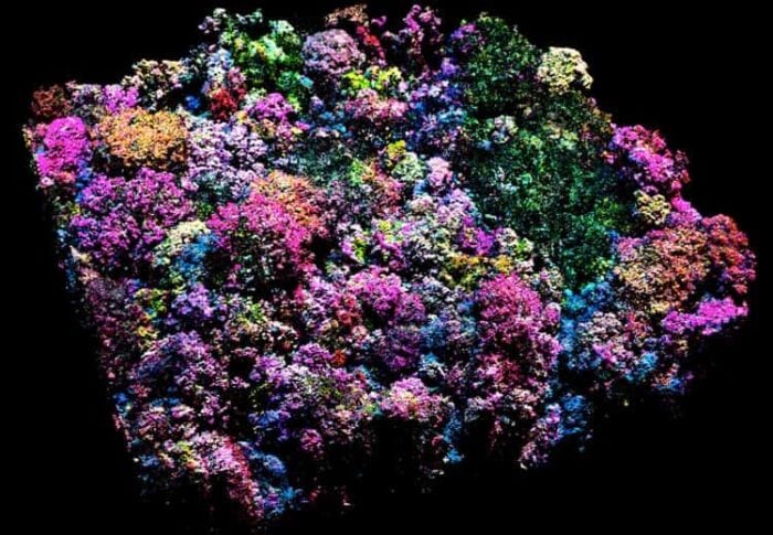 Seven forest canopy traits mapped throughout the Peruvian Andes-to-Amazon region by using airborne imaging spectroscopy and modeling.