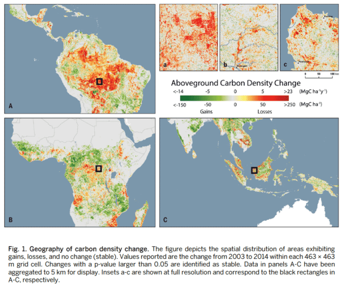 A series of four maps showing carbon density change as a result of deforestation.