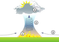 Pyrobubbles Fire What Are pyroCbs? Understanding Wildfire Thunderstorms - Geography Realm