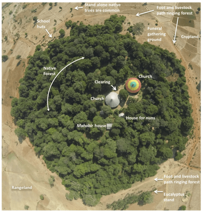 An annotated aerial of a church forest in South Gondar, Ethiopia. Source: Klepeis et al., 2016