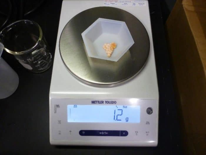 Frozen Lake Trout eggs being weighed for a thiaminase assay. Photo: Diane Nicks, USGS. Public domain.