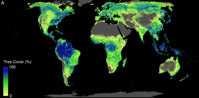 Mapping Where Planting Trees Can Help with Climate Change Mitigation ...