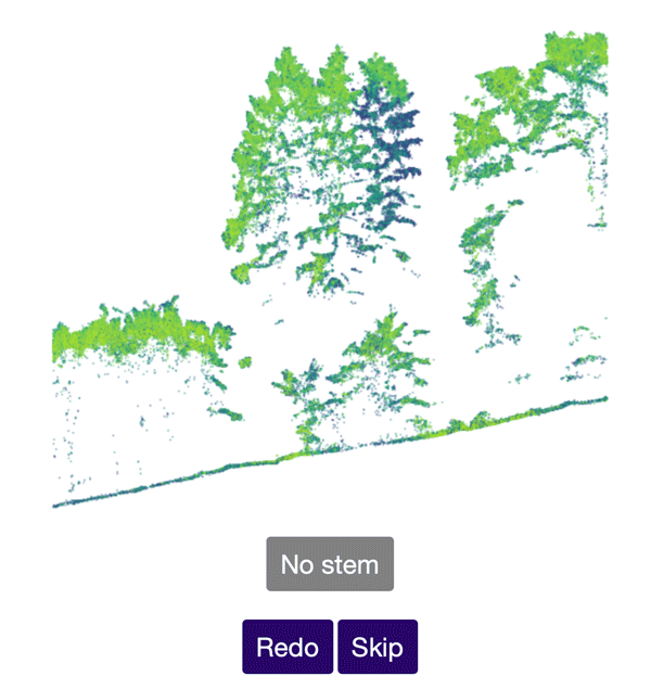 A LIDAR tree profile.