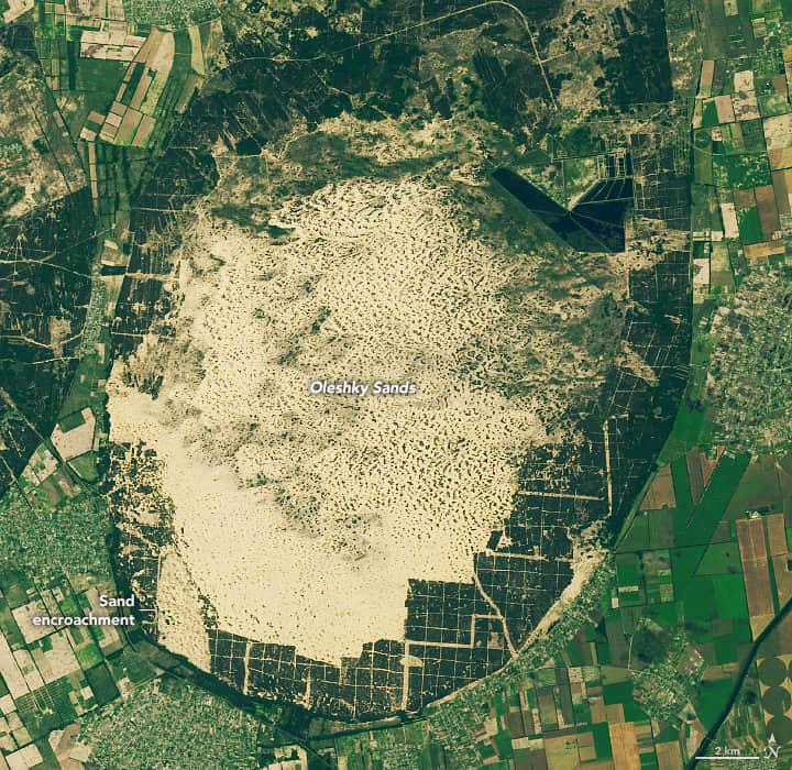 Landsat 8 captured this satellite image of Oleshky Sands in Ukraine on June 15, 2019. Source: NASA