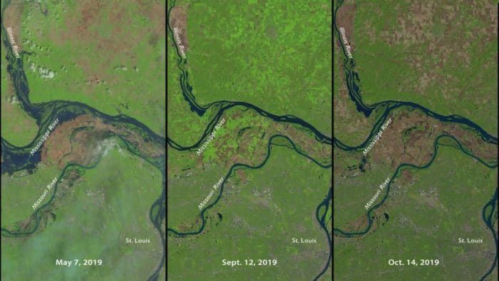 Three moments in a tumultuous year for farming north of St. Louis, MO, as seen in NASA-USGS Landsat 8 data. On the left is May 7, 2019, as heavy rains delayed planting for many farms. Sept 12, 2019, in the middle, shows bright green signifying growing vegetation, although with a fair amount of brown, bare fields. On the right, Oct. 14, 2019, the light brown indicates harvested fields while darker brown are fields that have not been seeded or fallow all summer. Credits: NASA