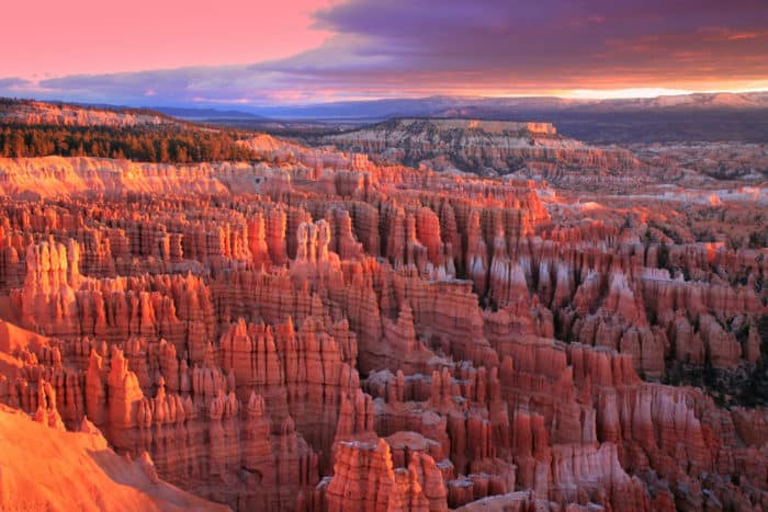 Hoodoos at Bryce Canyon National Park. Photo: Bryce Canyon NPS, Public domain.