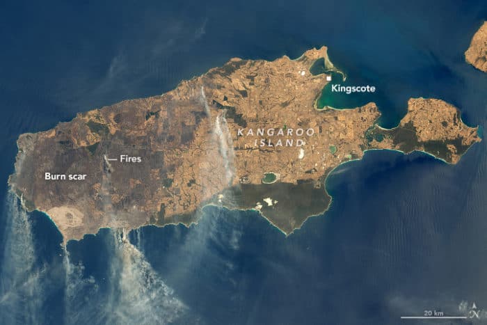 Landsat 8 imagery of Kangaroo Island showing damage from wildfires. Acquirered January 9, 2020.