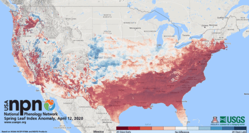 These Maps Show How Early Spring Arrived in Parts of the United States ...