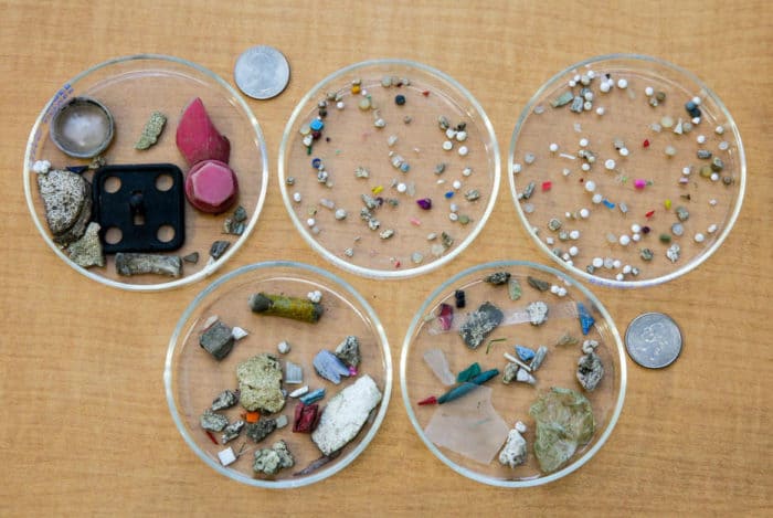 Various types and sizes of plastics collected from the Kinnickinnic River, Milwaukee, WI. Photo: S. Mason, State University of New York at Fredonia. Public domain. Source: USGS.