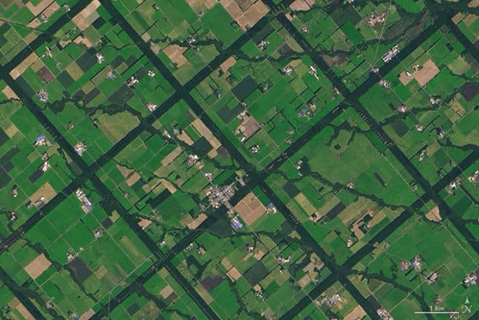 Dark green lines form the forested windbreaks in Hokkaido, Japan. Image: NASA.