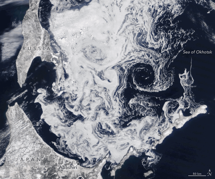 Drift ice in the Sea of Okhotsk. Image: Landsat 8, NASA.