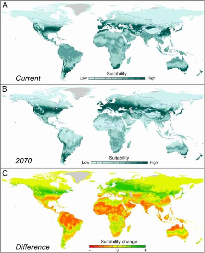 Projected geographical shift of the human temperature niche from current (A) to 2070 (B). Map C shows shaded areas of red where suitability has shifted the most from suitable to less suitable. Maps: Xu et al., 2020.
