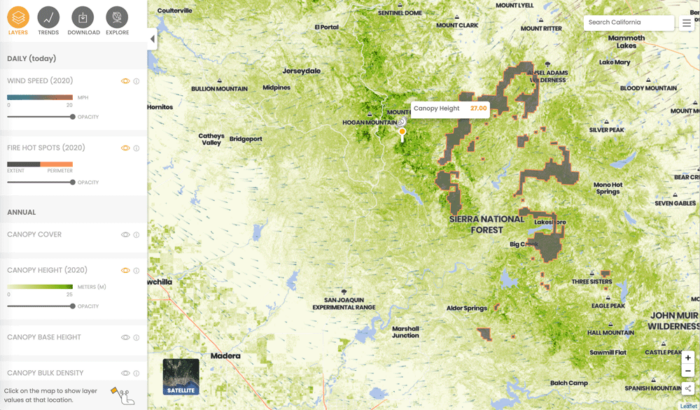 Screenshot from the Forest Observatory site.