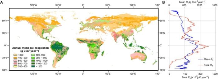 Map of the global distribution of mean annual soil respiration (Rs) between 2000 and 2014. Figure: Huang et al., 2020.