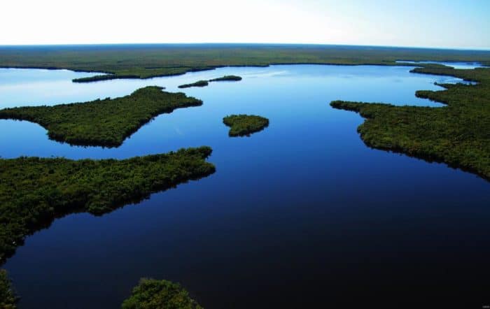 The color of water is a by product of how light is absorbed. Mangrove islands bespeckle the bay in upper Lostman's River. Photo: Paul Nelson, U.S. Geological Survey. Public domain.