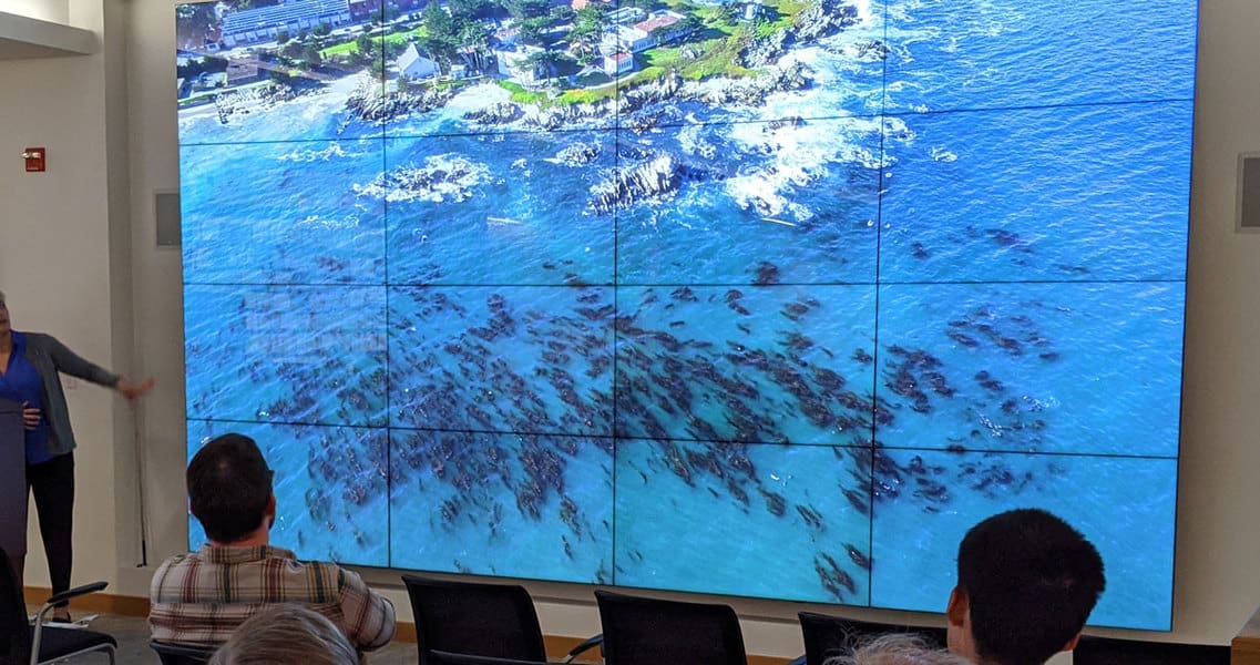 Picture of a person presenting at a workshop about GIS.