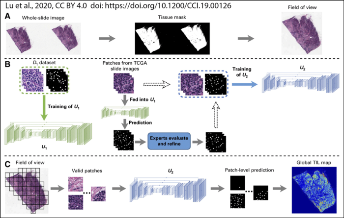 Lu et al., 2020. DOI: https://doi.org/10.1200/CCI.19.00126