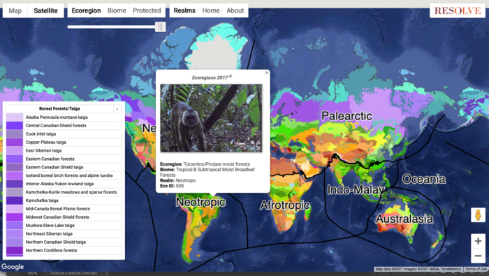Screenshot showing the interactive ecoregions map.