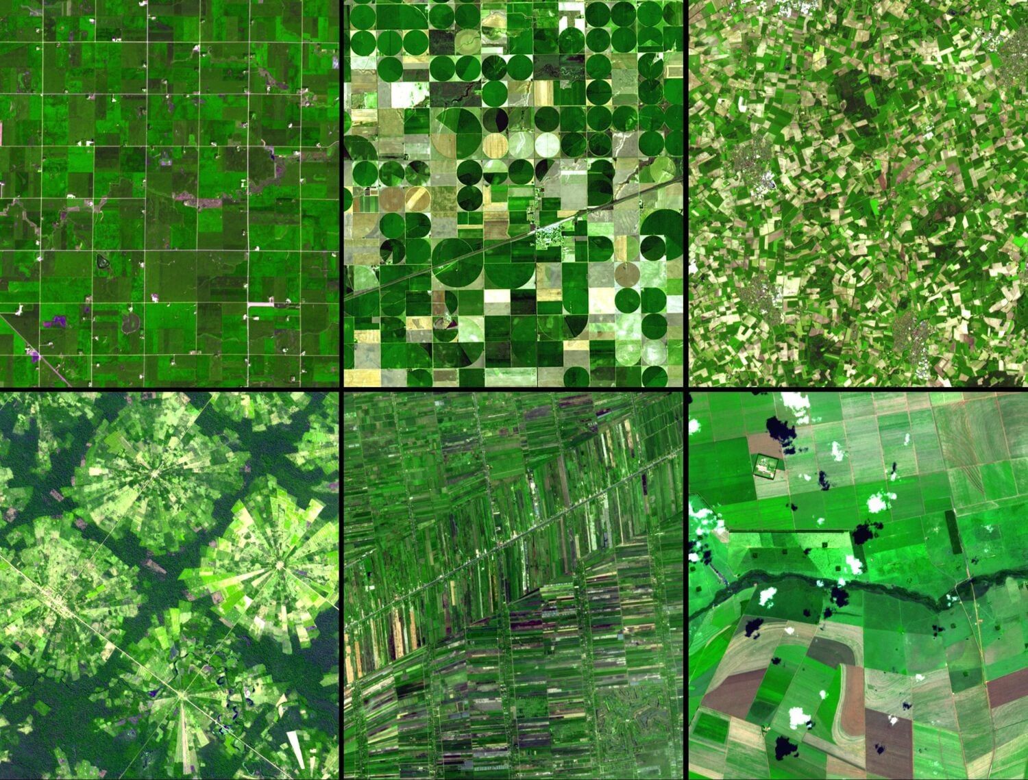A collage of satellite images showing various agricultural patterns.