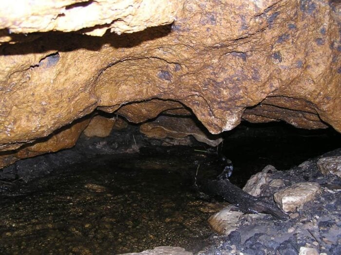 Underground flow in Florida. Photo: Patty Metz, U.S. Geological Survey. Public domain