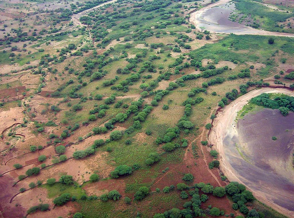 Aerial view of agroforestry in practice near Madaoua, Niger. 