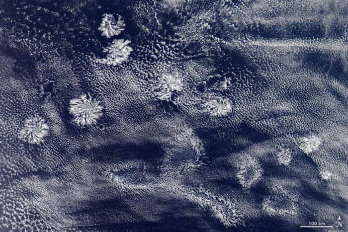 Satellite image of actinoform clouds off the western coast of Australia. Image: NASA, Aqua satellite, January 29, 2020.