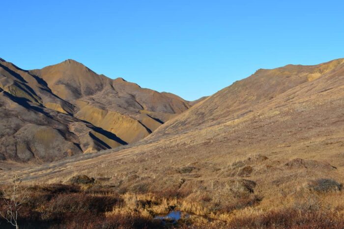 Tree-less mountains. a small boggy pond in the foreground leads up to small, round landforms that rise steeply for a few feet above the bog.