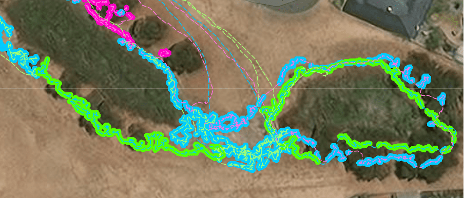 Aerial map with tracklogs (lines) and projected spray areas categorized by weed species (pink, blue and green).