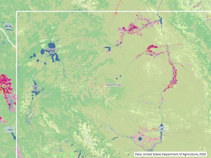A vegetation map of the northwest corner of Wyoming with mostly medium and light green.