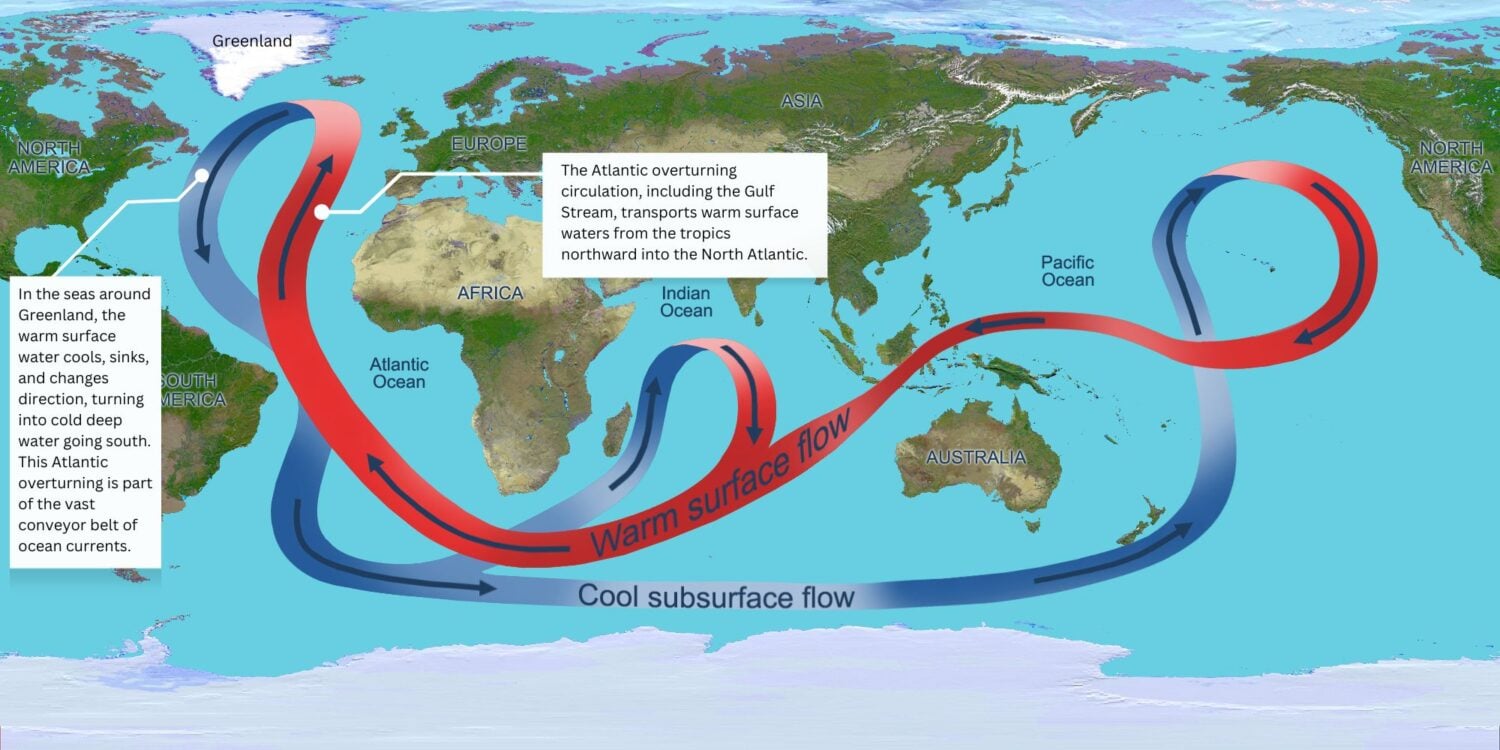 A map of the world showing the global ocean current with warmer waters in red and cold currents in blue.