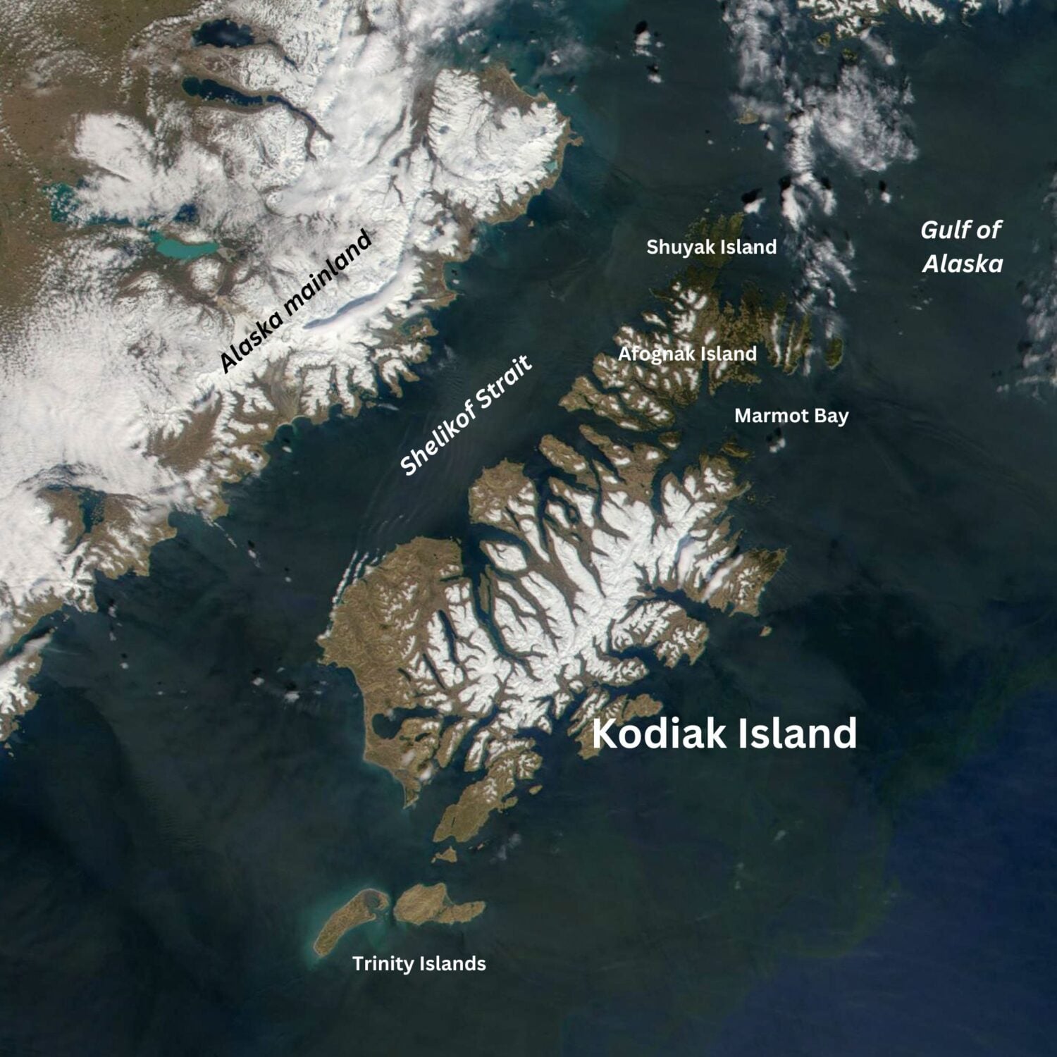 Satellite image of Kodiak Island showing snow covering the inland parts of the island.
