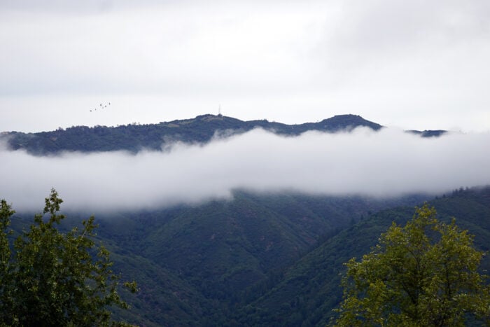 A view across forest covered mountains with a band of fog stretching just below the peak of the far mountain.