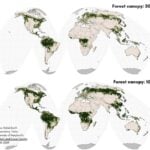 Two world maps shaded in green for 10% and 30% forest area.