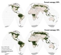 Two world maps shaded in green for 10% and 30% forest area.