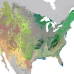 Regional map of the terrestrial ecosystems of the contiguous United States. Source: NatureServe, 2025.