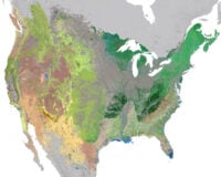 High Resolution Ecosystem Map of - Map Ecosystems United States 200x160