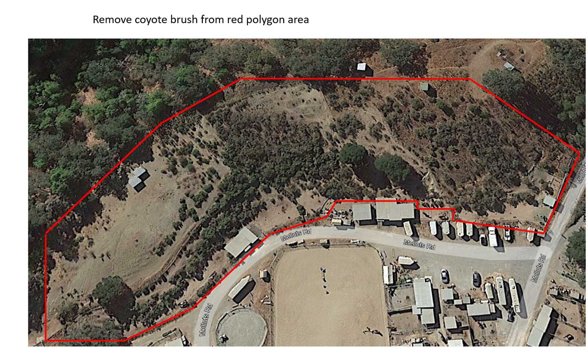 Midpen planning map for the 2024 nesting season vegetation removal project covering the primary killdeer nesting habitat above Bear Creek Stables. The project documentation largely consisted of a red polygon over the nesting area with the instruction: “Remove coyote brush from red polygon area.” “Map”: Midpeninsula Regional Open Space District, 2024.