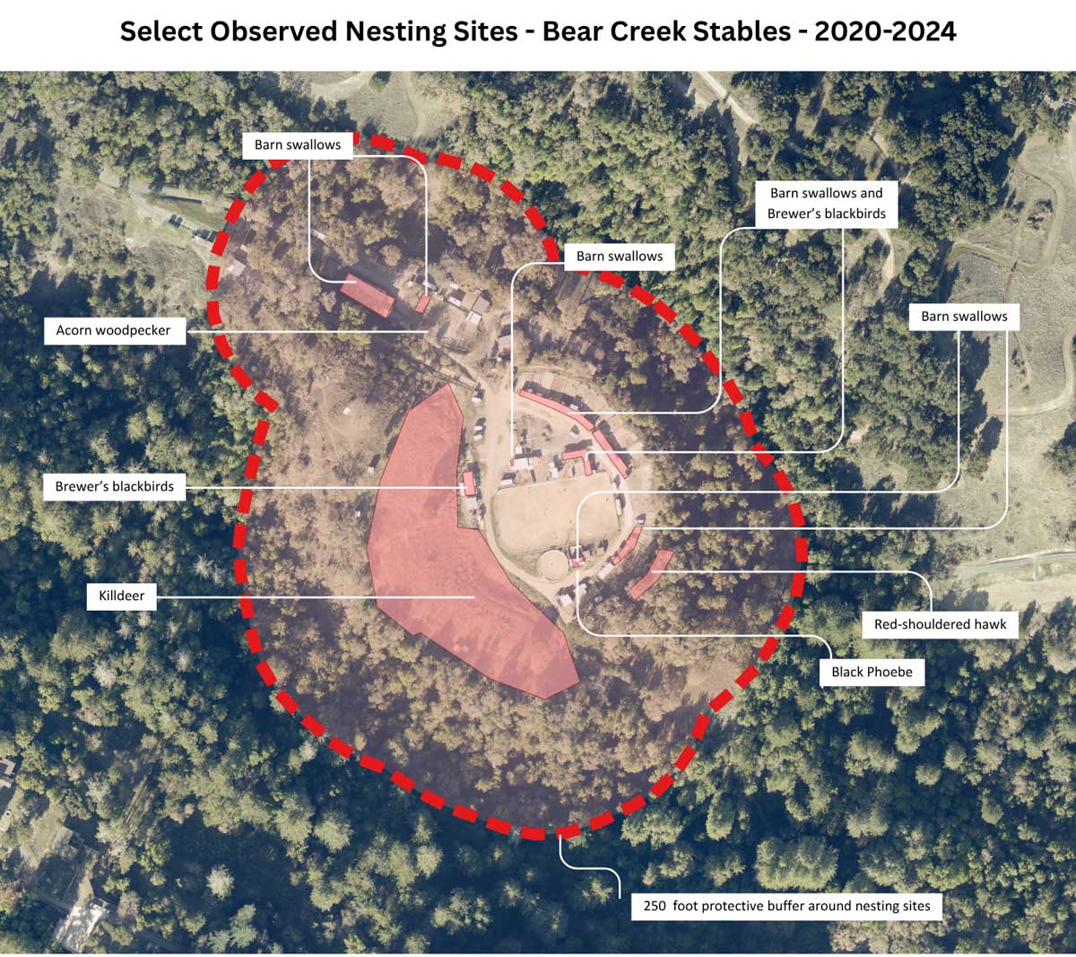 Map showing historical nesting sites for select species at Bear Creek Stables based on observations.  Map: Caitlin Dempsey.  