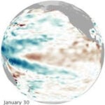 Three maps of the tropical Pacific showing sea surface height anomalies on January 15, January 30, and February 15, 2005. Areas of elevated sea level, shown in brown and red, move eastward along the equator over time, illustrating the progression of a Kelvin wave across the Pacific Ocean.