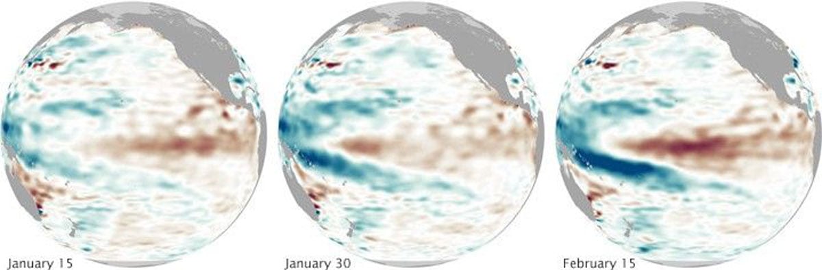Three maps of the tropical Pacific showing sea surface height anomalies on January 15, January 30, and February 15, 2005. Areas of elevated sea level, shown in brown and red, move eastward along the equator over time, illustrating the progression of a Kelvin wave across the Pacific Ocean.