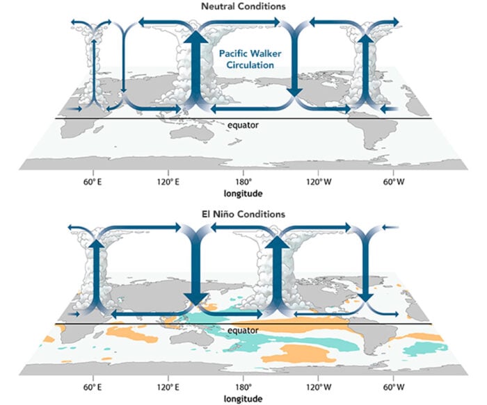 Diagram comparing atmospheric circulation over the tropical Pacific during neutral conditions and El Niño conditions. Arrows show changes in the Walker circulation, with rising air and rainfall shifting eastward across the equatorial Pacific during El Niño.